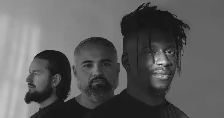 Animals as Leaders