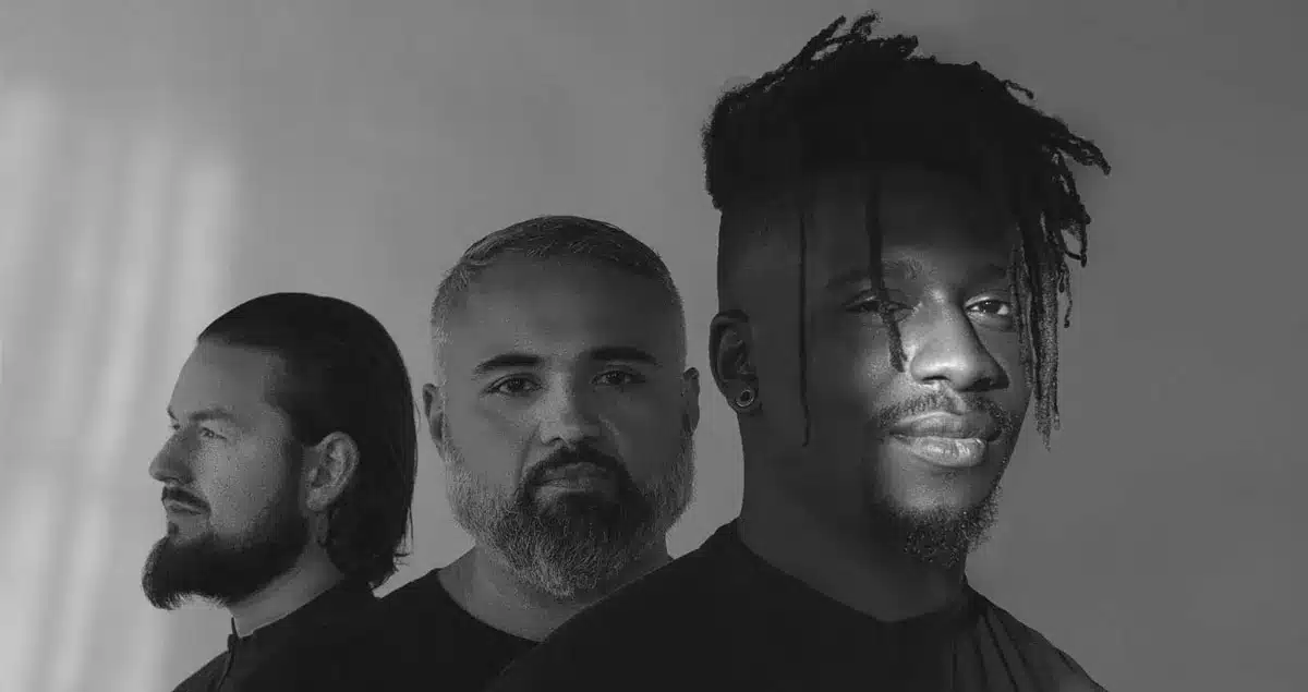 Animals as Leaders