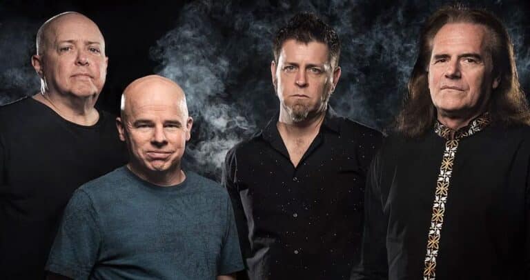 Pattern-Seeking Animals