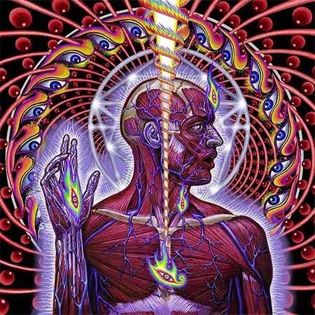 Tool + Lateralus + Album